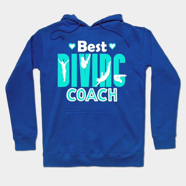 Best Diving Coach Springboard Diving Instructor Gift Hoodie by Bezra